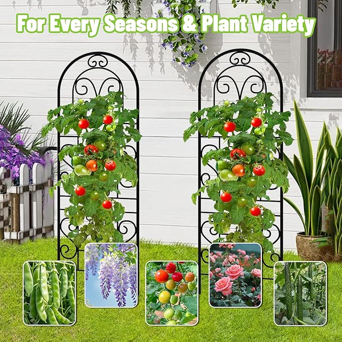 Garden Trellis for Climbing Plants, 3 Pack 38" Wx 64.6" H Rustproof Flower Trellis with Black Coating, Outdoor Climbing Rose Trellis Cucumbers Support for Courtyards Lawns (Curved Shape, 3 Pieces)