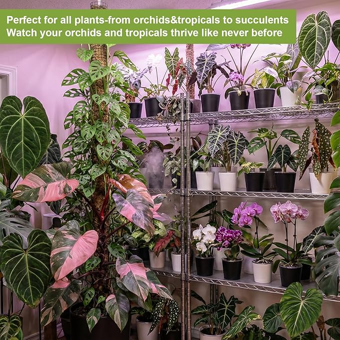 6 Pack of 6in Plastic Cachepot with 6 inch Clear nusery Pot - self Watering Indoor Planter with Drainage for Root Visibility,semi Hydro pots for repotting Monstera,Orchids,Aroid,White