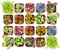 Shop Succulents Endless Summer Succulent Pack Collection - Live Mini Succulent Plants, Low Maintenance, Colors & Textures - Wedding and Party Favors, Gift & Garden, Pack of 100