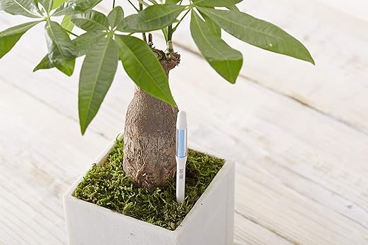 Sustee Aquameter (Medium Green Refillable - Bundle of 2) - House Plant Soil Moisture Meter, Humidity Sensor Probe, Water Level Indicator - Best for Indoor Potted Plants