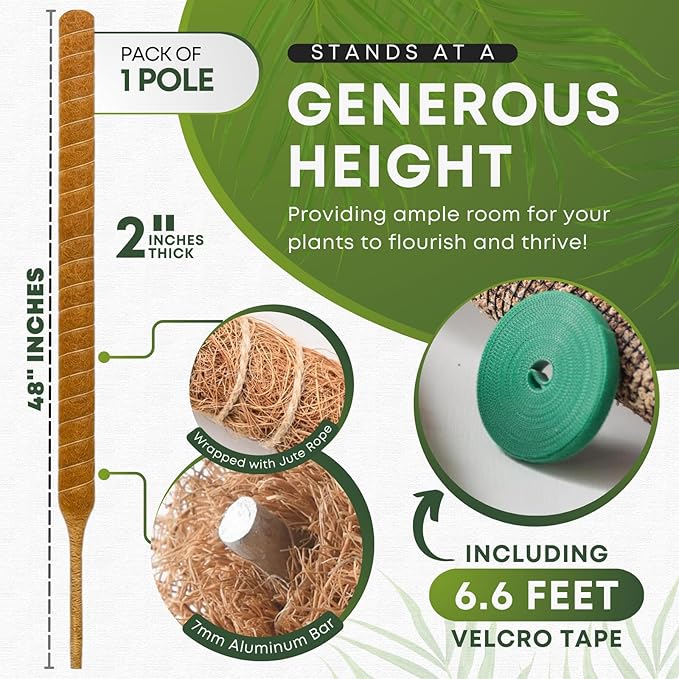 Moss Pole Monstera Plant Support | 48 Inch Plant Stakes for Indoor Plants | Coconut Palm Fiber Moss Poles for Climbing Plants | Handmade Plant Sticks Support Tall Monstera, Pothos & More