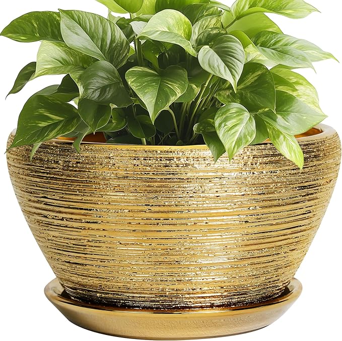 Ceramicfor Ceramic Plant Pot Indoor - 9 Inch Planters for Outdoor Plants Decorative Plant Pot with Drainage Hole and Saucer Round Planter Modern Flower Pot Decorative for House Decor Gold
