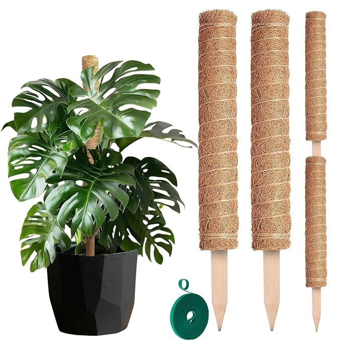 2 Pcs Small Moss Pole Monstera Plant Support Set - 15.75" Pothos Plant Climber Support with Connectable Design, Fixation Strip, Coconut Fiber Moss Poles for Monstera Plants, Money Plants, Philodendron