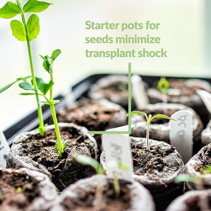 Jiffy Plant Germination Kit - Greenhouse Starter Kit, Lightweight, GMO Free - 72 Cell, 2 Pack - Peat/Plastic