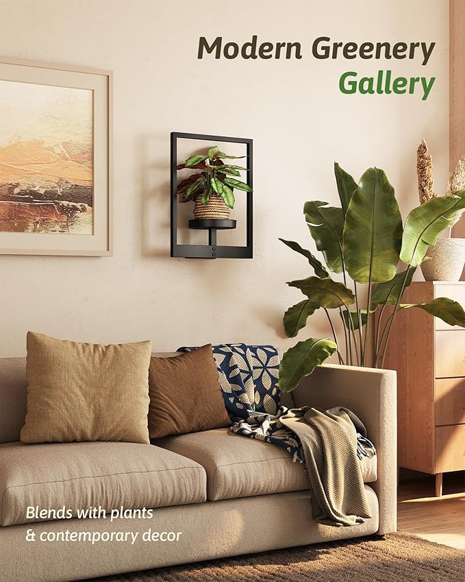 GENTINGBRO Wall Plant Holder Wall Planters for Indoor Plants Plant Wall Shelf Plant Hanger Indoor Hanging Plant Holder Wall Decor Plant Frame for Living Room Window Balcony