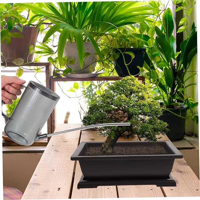Toddmomy 1pc Chic Long Spout Watering Can Durable Watering Kettle for Indoor and Outdoor Gardening Lightweight Design with Transparent Body for Easy Water Level Monitoring