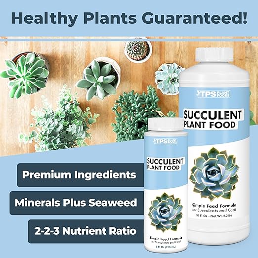 Succulent Fertilizer – Liquid Plant Food for Compact Growth, Vibrant Color & Stronger Root Development, 1 Gallon