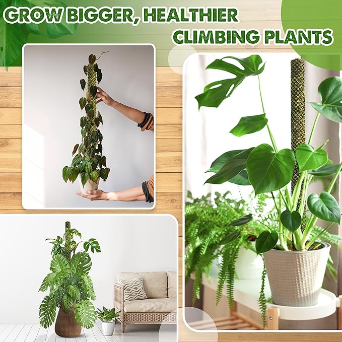 DUSPRO 2 Pack 22" Black Stackable Mesh Moss Pole for Plants – Extendable Up to 39", Natural Forest Moss Pole Monstera Plant Support, Moss Stick for Climbing Plants, Indoor Plant Stakes Accessories