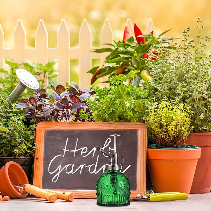 BESPORTBLE Glass Plant Mister Spray Bottle, 6.5 Green Glass Water Spray Bottle with Top Pump, Vintage Plant Watering Can, Small Mister for Outdoor Indoor House, Green