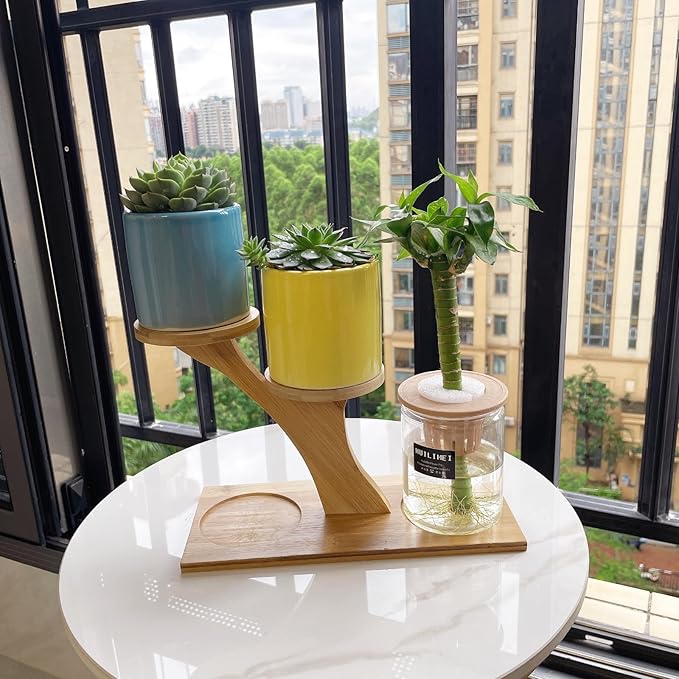 Window Sill Plant Shelf，Desk Desktop Bamboo Plant Stand， Table Succulent Plant Stand for Home, Office, Living Room, Bedroom Decoration(2set)