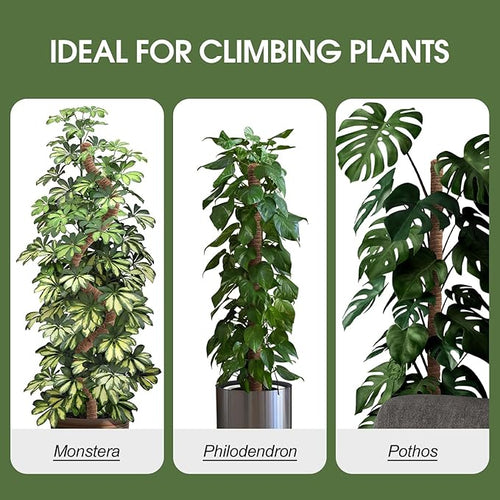 2 Pack Moss Pole, 63 Inch Bendable Moss Poles for Plants Monstera Long for Climbing Plants, Extra Large Handmade Pole Plant Sticks Support Stakes for Indoor Plants to Grow Upwards