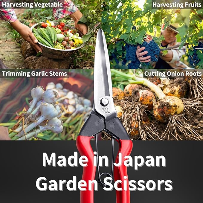 Harvesting Scissors Blunt Tips 7.9" for Vegetable, Fruits, Plants - Japanese Garden Shears Pruning Snips - Sharp Japanese Stainless Steel Blade & Non-Slip Spring-Loaded Handle - Made in Japan