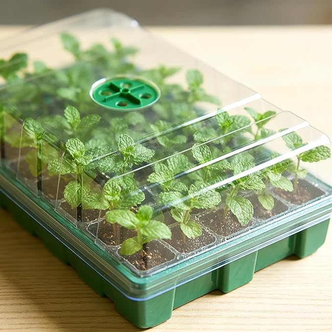 Seed Starter Tray Kit, 5-Pack with Humidity Domes & Base - 200 Cells Total (40 per Tray), Durable Mini Propagator Greenhouse for Optimal Seed Germination, Indoor Gardening, Plant Growing