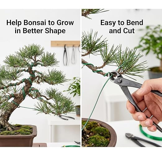 Bonsai Wire Kit, 98 Feet Green Aluminum Bonsai Tree Training Wire Bonsai-Tool Set Adjustable Wires Accessories for Holding Branches Small Trunks Bonsai-Trees Indoor Garden DIY Tools (Green, 1mm, 30m)