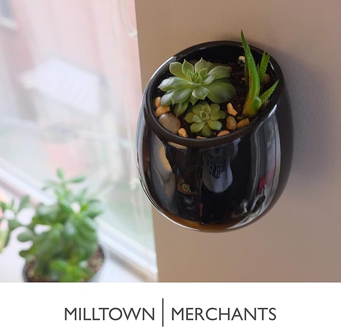 Succulent Wall Planter - Black Ceramic Mounted Vase - Plant Pot for Living Wall (1 Pack/Modern/Black)