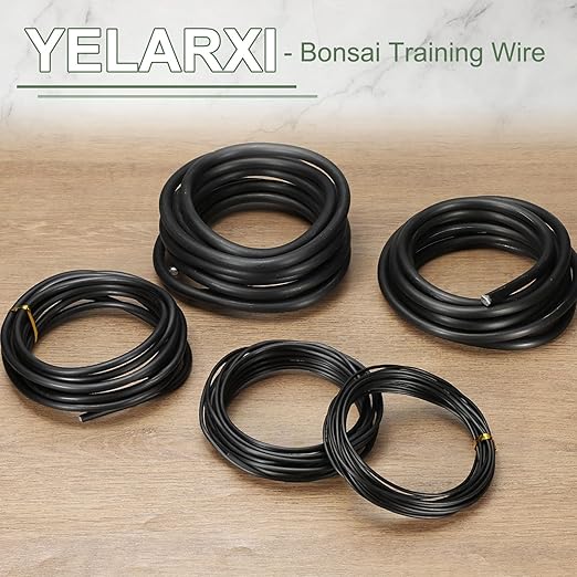 Bonsai Training Wire, 1.5mm x 16.4 ft Anodized Aluminum Floral Plant Training Wire Bendable Metal Stems Accessories for Gardening Branch Fixing Crafts (Black)