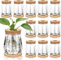 Baderke 12 Packs 4.7" Large Plastic Propagation Vases for Plants with Hole Lid and Bamboo Stand Growing in Water Hydroponic Home Office Desktop Vase Decoration