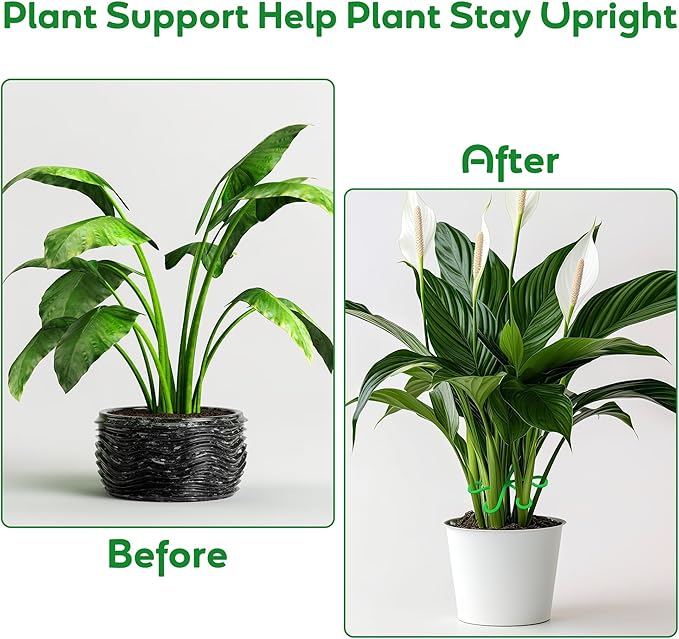 Plant Stem Support Set, 8Pcs 4 Sizes Plant Trellis Rings for Climbing Plants Indoor, Support Holder Ring for Different Growth Stages, Climbing Houseplant Trellis for Potted (Green)