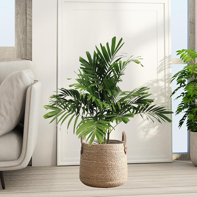 Woven Plant Basket Decorative Storage Basket Large Capacity Flower Pots Plant Container for Lawn Yard Balcony Home Windowsill, S