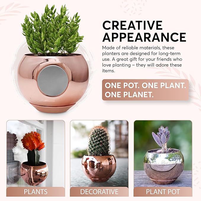 Magnetic Plant Pot - Unique Window Planter for Succulents, Indoor & Outdoor Greenery - Self-Adhesive Magnet Attachment, Drainage Holes, Detachable Reservoir - Rose Gold