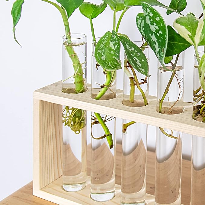 Propagation Station, Plants Terrarium, Plants Lover Gifts for Women,Plant Cutting Holder Home décor,Gifts for Women,House Warming New Home-5 Tubes-Beige