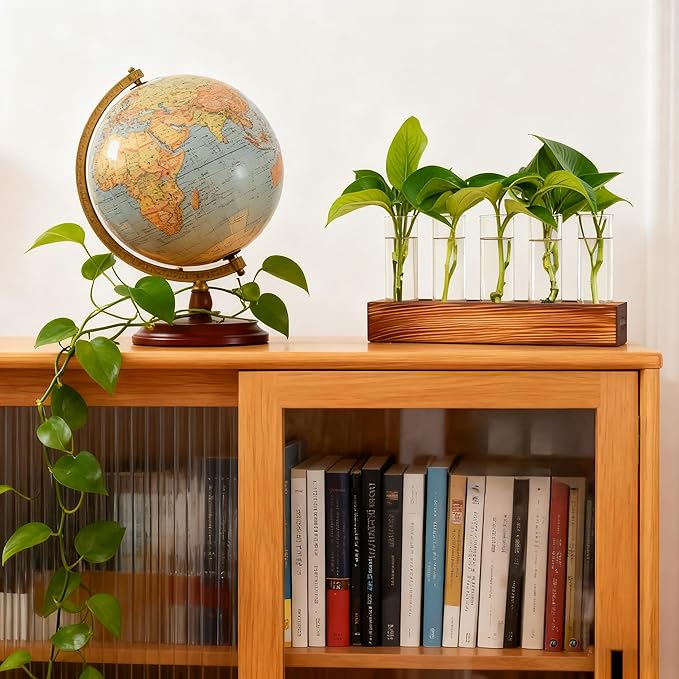 Renmxj Plant Propagation Station, Plant Terrarium with Wooden Stand, Plants Pots for Hydroponics, Small Birthday Gardening Gifts for Women Mom Plants Lovers Unique - 5 Glass Test Tubes Vases