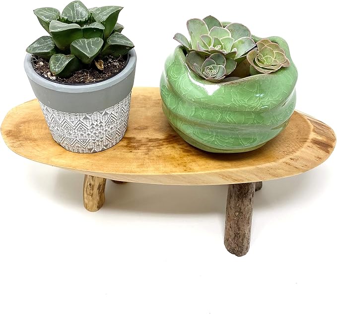 TJ Global Rustic Small Long Wood Slice Plant Stand, Mini Wooden Stool Vase Stand, Display Stand, Perfect for Home Decor in Any Room Office Garden L8.75 x W3.75 x H2.75 (1 Stand)