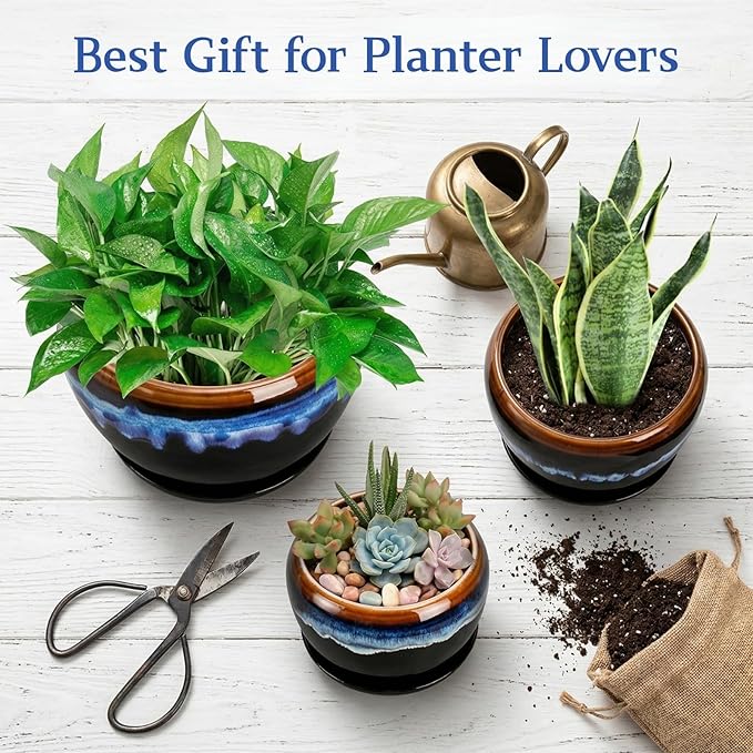 AVLA 3 Pack Ceramic Flower Pots, Gardening Drip Glazed Planter, Plant Pot with Drainage Hole and Saucer, 7/5/4 Inch Rustic Houseplant Container for Succulent Herbs Cactus Orchid, Home Indoor Outdoor