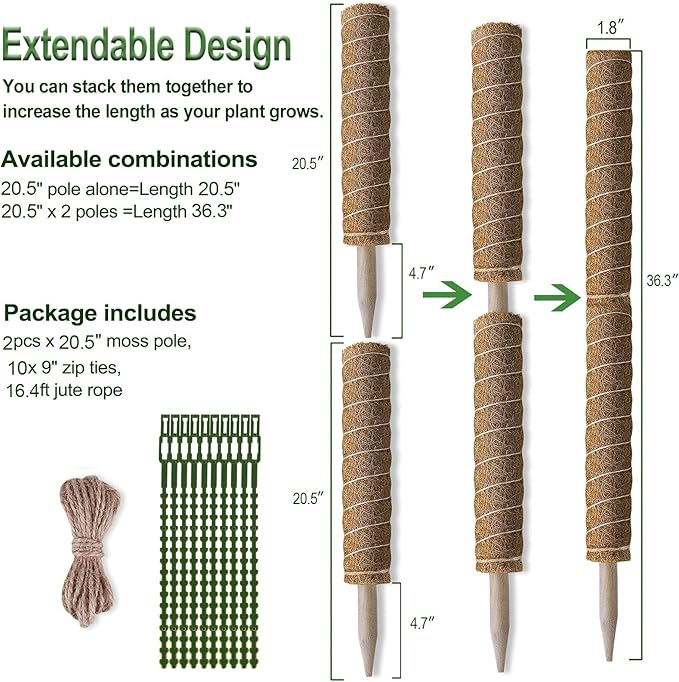 Fabulas Moss Pole 36 Inch - Monstera Plant Support, 2 Pack 20.5 Inch Plant Stakes for Indoor Plants Coco Coir Moss Pole Sticks for Climbing Potted Live Plants, Pothos, Philodendron, with Garden Ties