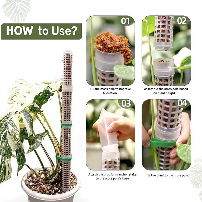 Sturdy Moss Poles for Climbing Plants - Extendable & Adjustable Small Moss Pole Monstera Plant Support Ideal for Indoor and Climbing Plants & More, Extendable Length 11.1'' to 31.2'', Set of 5