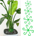 Plant Stem Support Set, 8Pcs 4 Sizes Plant Trellis Rings for Climbing Plants Indoor, Support Holder Ring for Different Growth Stages, Climbing Houseplant Trellis for Potted (Green)
