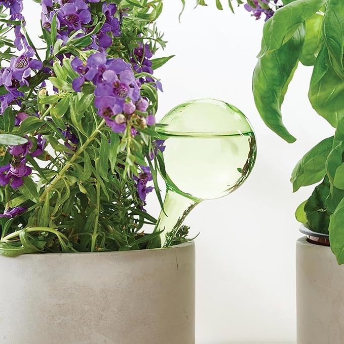 Santa Barbara Design Studio Self Watering Globes for Plants Automatic Watering Bulb for Plants, 6" L x 2.4" Dia, Green