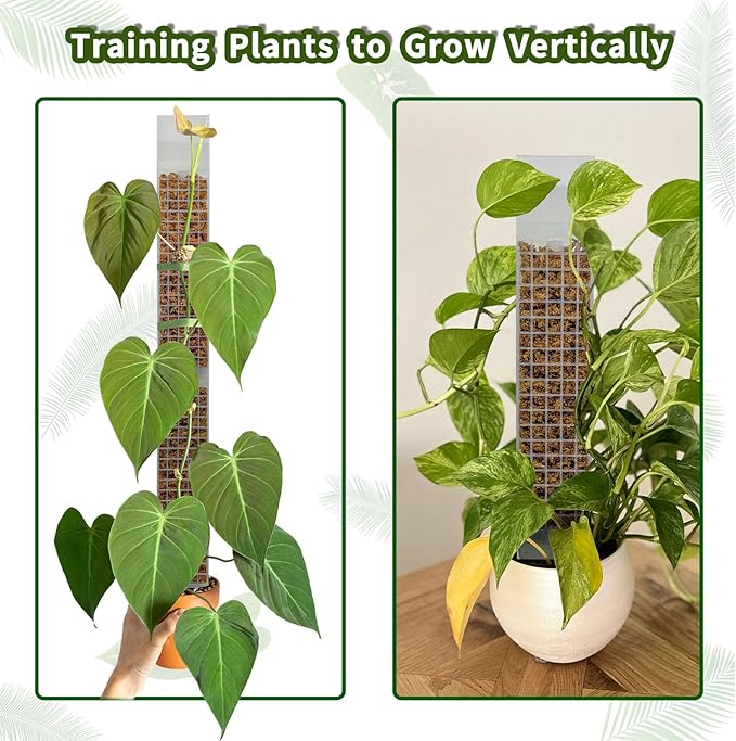 4PCS 18.7-Inch D-Shaped Self-Watering Moss Pole - Plastic Monstera Support for Indoor Climbing Plants. (2, White)