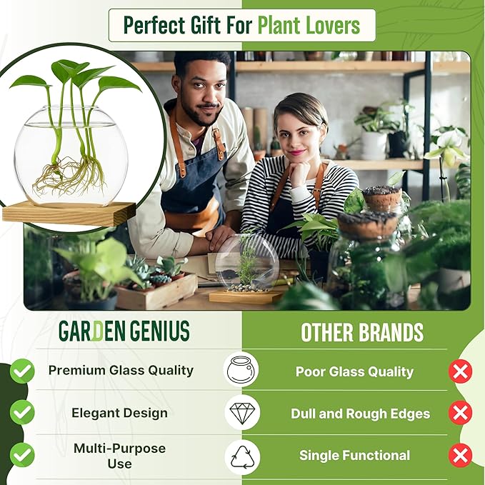 Single Glass Propagation Station with Wooden Base – Hydroponic Plant Terrarium for Home & Office | Ideal Christmas, New Year & Birthday Gift for Plant Lovers, Moms | Desktop Windowsill Planter Vase