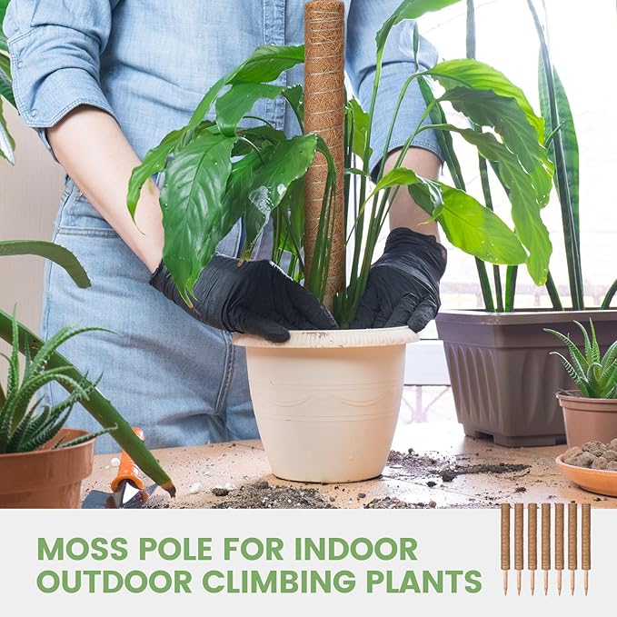 Yinder 50 Pcs Moss Pole for Plants Monstera Plant Support 16.5 Inch Coir Poles Bendable Monstera Plant Support with 10 Pcs 6.56 Feet Jute Rope and 2 Pcs 6.56 ft Garden Tape for Climbing Plants Growth