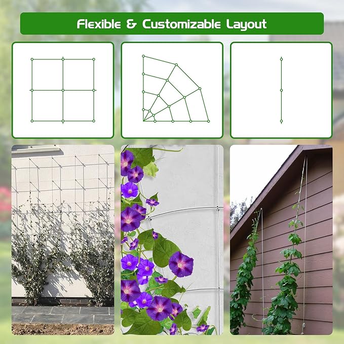 Trellis Wire for Climbing Plants Outdoor, 30 Set Wall Wire Trellis Kit with 1/8" x 164ft Stainless Steel Cable, T316 Espalier System Cable Trellis Kit with Adjustable Spacing Vines Green Wall