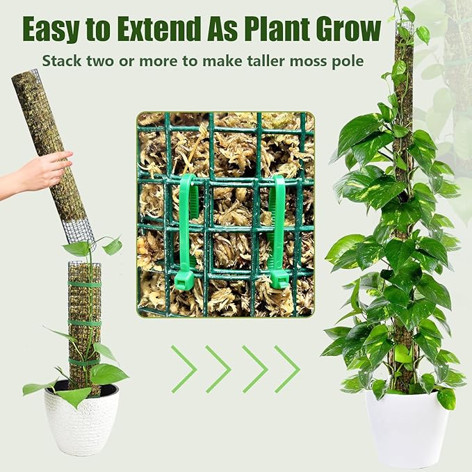 6 Pack Metal Moss Pole, 60"/40"/24" Moss Poles for Plants Monstera, Stackable Sphagnum Moss Pole, Plant Poles for Climbing Plants Work with Sphagnum Moss(2 Each of 60" 40" 24")