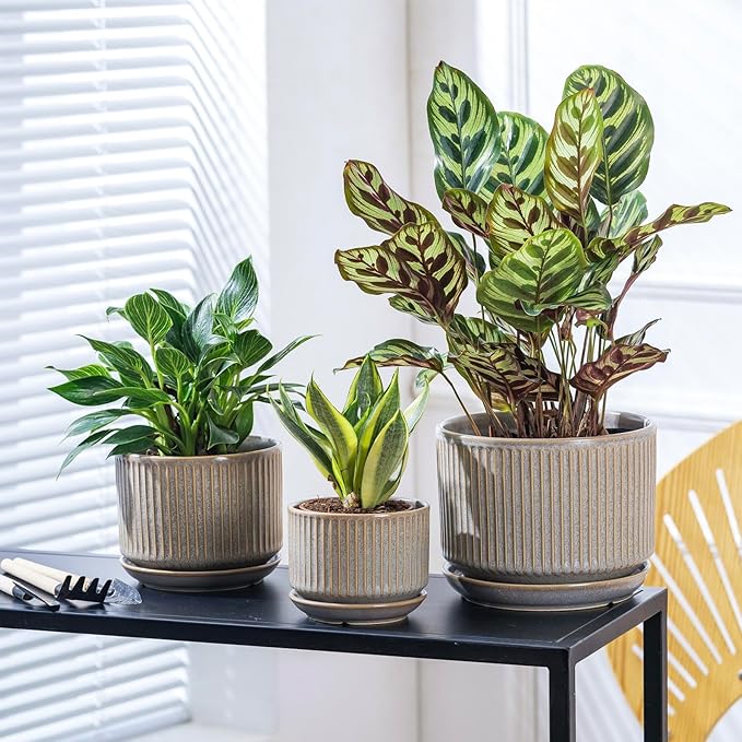 SURE YUESI Speckle Gray Ceramic Plant Pots Set of 3 (4.3”+5.5”+6.7”) Indoor Striped Planters with Drainage Hole, Saucer Pad, Decorative Pots for Plants & Gardening