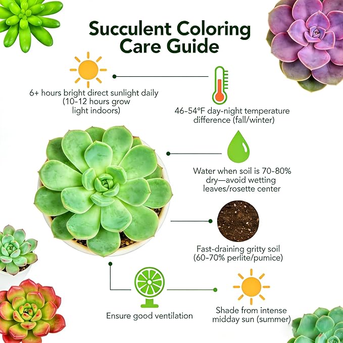 Sprout N Green 30 Live Succulent Plants, 6 Assorted Varieties of Real Succulents Potted in 2" Starter Pot with Soil Mix, Rare Small Indoor House Plants for Home Garden Wedding Decor Party Favor