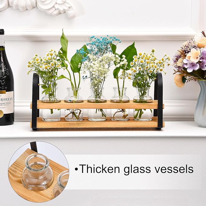 VIKEYHOME Plant Propagation Station with Wood Stand, Desktop Terrarium for Hydroponic, Flower Vase for Home, Kitchen, Office Decor, Plants Lover Gifts