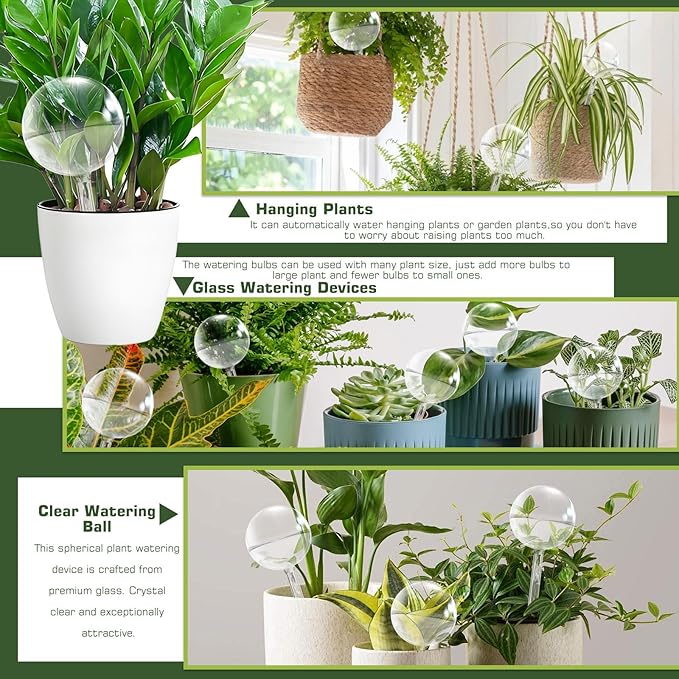 Self Watering Globes, Glass Clear Plant Watering Globes, Self Watering Planter Insert for Indoor & Outdoor Potted, Self Watering Planter Insert Spikes Devices for Everyday or Vacation Use, 4 Pack