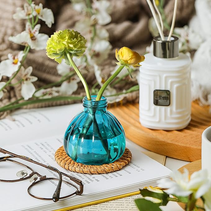 T4U Glass Plant Mister 200ML, Vintage Spray Bottle with Top Pump Fine Mist Flower Garden Sprayer Small Decorative Spritzer Watering Can Gift for Indoor Outdoor Succulent House Plant (Blue)