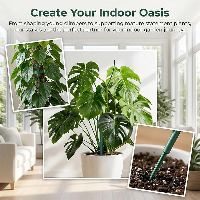 10 Pack Stackable Monstera Plant Support Stakes, Plant Sticks Support Tall for Pothos Climber, Plant Support Garden Stakes for Indoor & Outdoor Pots, Essential Monstera Support for Climbing Vines