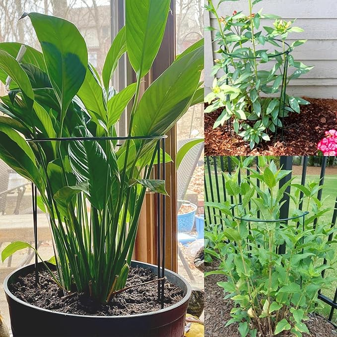 10 Pack Plant Support Stakes 16 Inch Plant Stakes for Outdoor and Indoor Plants,Peony Cages and Supports Plant Stem Support Flower Metal Stakes for Gardening Peonies Support Cages for Plants