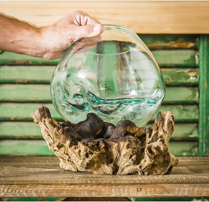 Cape Craftsmen 10" Hand-Blown Blue Tinted Bubble Glass On Natural Teak Driftwood Terrarium Kit | Home Décor Indoor Planter with Stand | Pot for Succulent and Plants