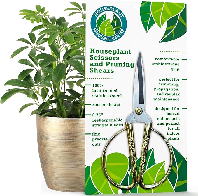 Fiddle Leaf Fig Notching Bundle