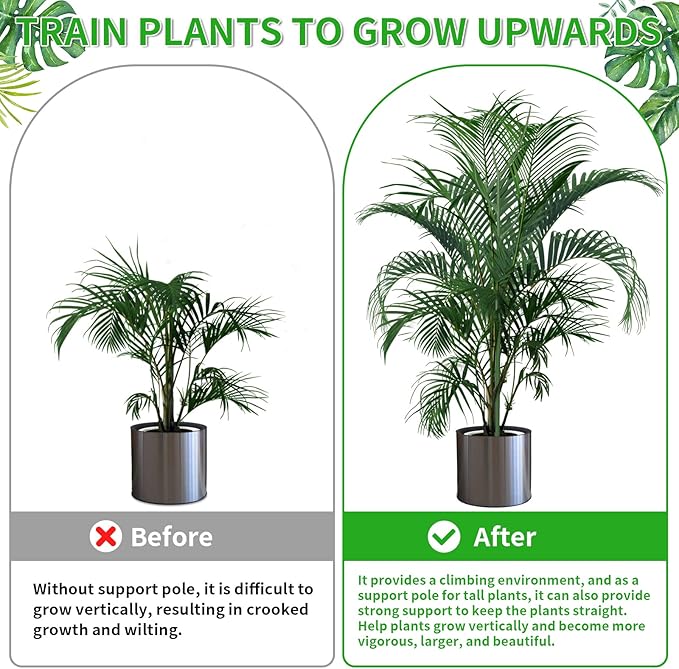ROADPLUM 2 Pack 27.56" Detachable Twig Plant Support Stakes Set, Blends in to Plant, Branch Plant Sticks with Orchid Clips Twist Plant Ties, Twig Trellis for Indoor Outdoor Plants Potted Plants Flower
