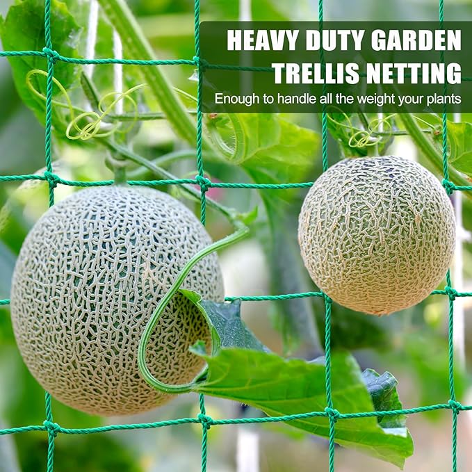 Trellis Netting, Heavy Duty Garden Netting for Trellis for Climbing Plants Outdoor, 9.85x6.6Ft Plant Netting for Cucumber, Tomato, 27 Strands & 4x4 in Mesh, Grow Net for Vine,Fruits, Vegetables, Bean
