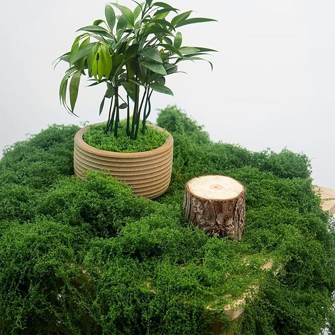 MGLIFEUL 1.125 LBS Artificial Fake Moss for Crafts Plants Indoor with Non-Stick Gloves and Tweezers，Preserved Green Plant Faux Craft Moss Musgo for Fairy Garden Outdoor Home Decorating Model Making