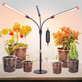 FRGROW 3Head Tabletop Grow Lights for Indoor Plants, Seed Starting, Vegetables, Bonsai, Bright Desk Plant Growing Lamps, 4/8/12/16/20H Timer, 27 Watt Power Draw, NO Need Adapter, 360° Gooseneck